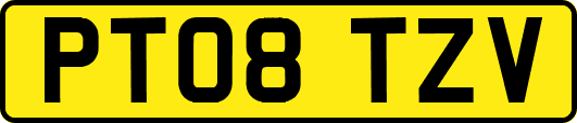 PT08TZV