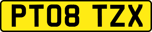 PT08TZX