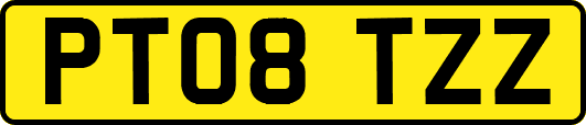 PT08TZZ