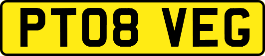 PT08VEG