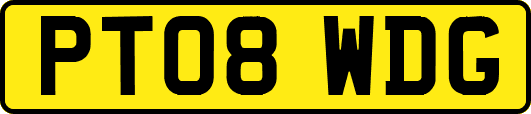 PT08WDG
