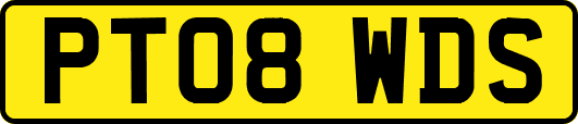 PT08WDS