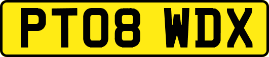 PT08WDX