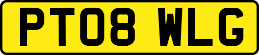 PT08WLG