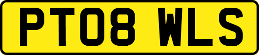 PT08WLS