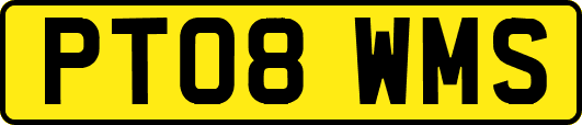 PT08WMS