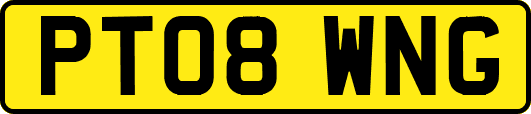 PT08WNG