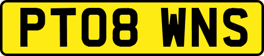 PT08WNS