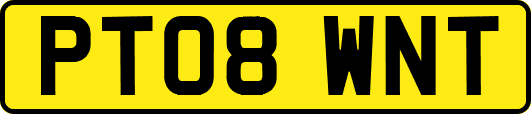 PT08WNT