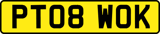 PT08WOK