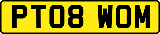 PT08WOM