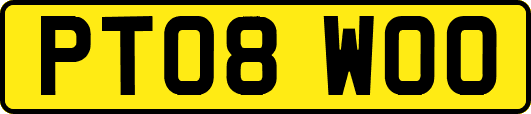 PT08WOO