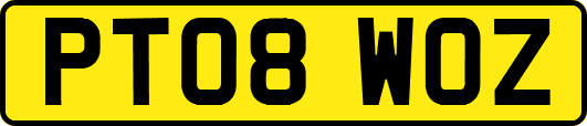 PT08WOZ
