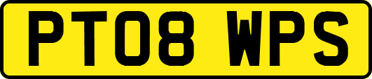 PT08WPS