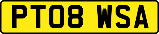 PT08WSA