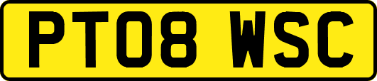 PT08WSC