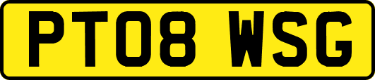 PT08WSG