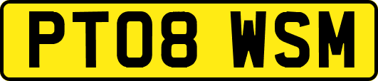 PT08WSM