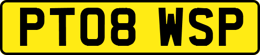 PT08WSP