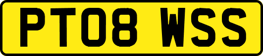 PT08WSS