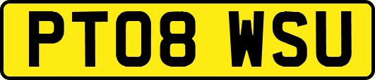 PT08WSU