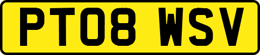 PT08WSV