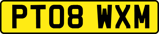 PT08WXM