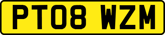 PT08WZM