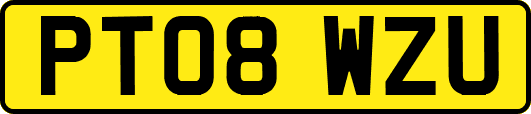 PT08WZU