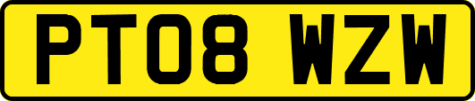 PT08WZW