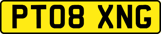 PT08XNG