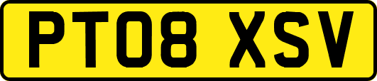 PT08XSV