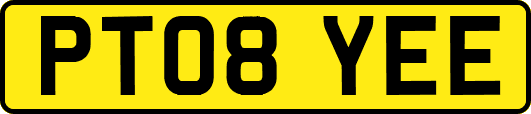 PT08YEE