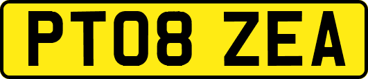 PT08ZEA