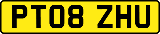 PT08ZHU