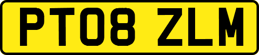PT08ZLM