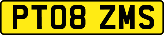 PT08ZMS