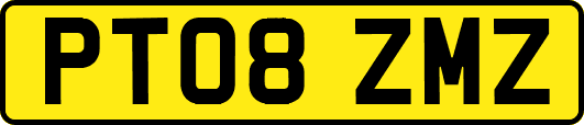 PT08ZMZ
