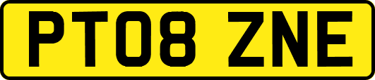 PT08ZNE