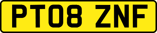 PT08ZNF