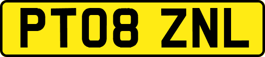 PT08ZNL