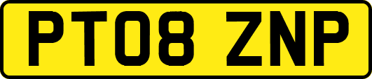 PT08ZNP