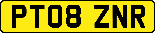 PT08ZNR