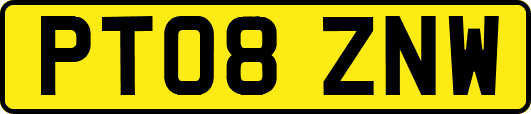 PT08ZNW