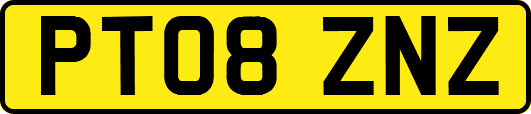 PT08ZNZ