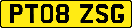 PT08ZSG