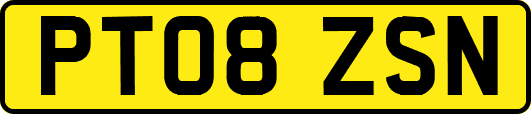 PT08ZSN