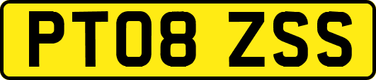 PT08ZSS