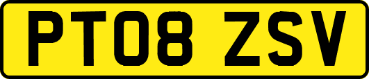 PT08ZSV