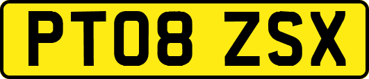PT08ZSX